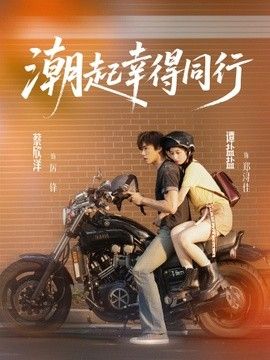 潮起幸得同行海报