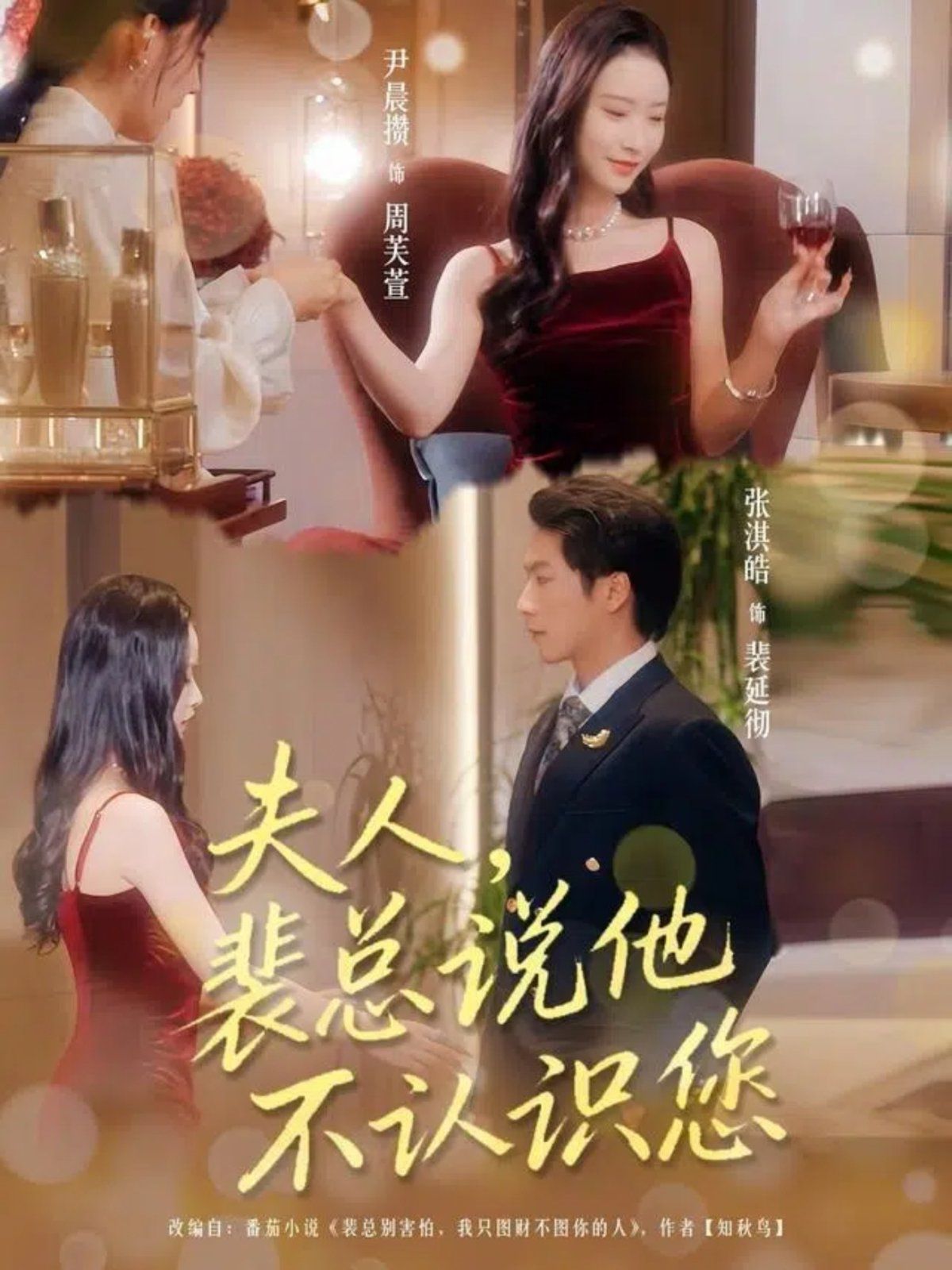 2021短剧《夫人裴总说他不认识您》迅雷下载_中文完整版_百度云网盘720P|1080P资源