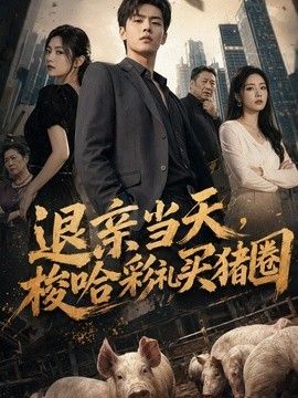 退亲当天,梭哈彩礼买猪圈