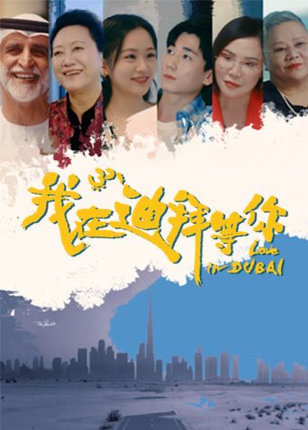 2021国产剧《我在迪拜等你》迅雷下载_中文完整版_百度云网盘720P|1080P资源
