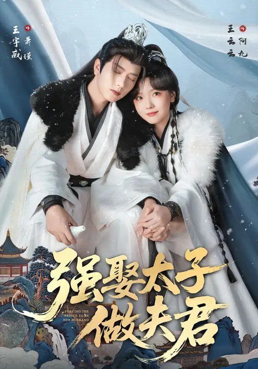 強娶太子做夫君