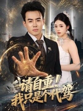 请自重！我只是个代驾海报