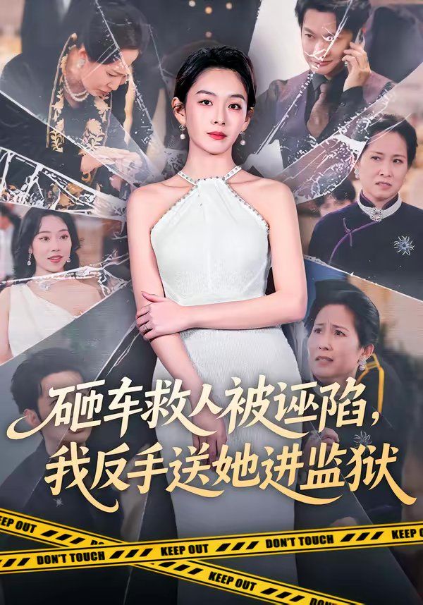 砸车救人  被诬 陷，我反手送她进监狱