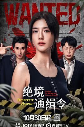 2021国产剧《绝境通缉令》迅雷下载_中文完整版_百度云网盘720P|1080P资源
