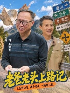 老爸老头上路记海报
