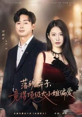 落魄弃子，竟得顶级大小姐偏爱海报