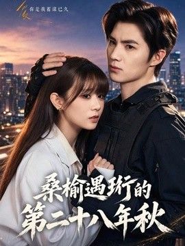 桑榆遇珩的第二十八年秋海报