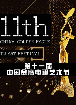 第十一届中国金鹰电视艺术节颁奖晚会在线观看