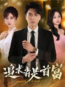 追求者是首富海报