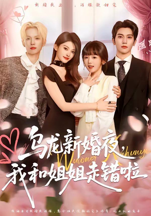 乌龙新婚夜,我和姐姐走错啦