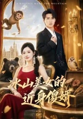 冰山美女的近身傻婿海报