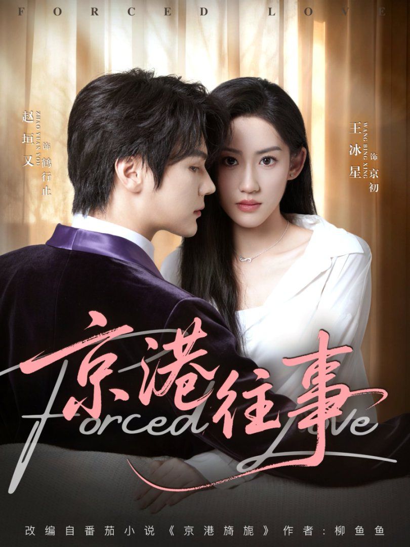 2021短剧《京港往事》迅雷下载_中文完整版_百度云网盘720P|1080P资源