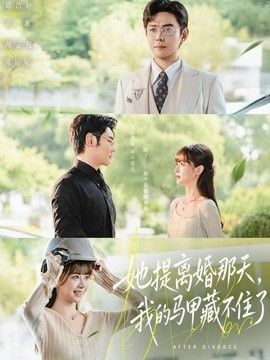 她提离婚那天，我的马甲藏不住海报