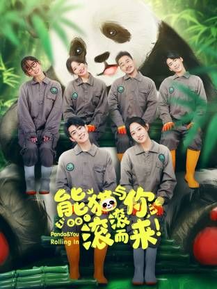 2021国产剧《熊猫与你,滚滚而来!》迅雷下载_中文完整版_百度云网盘720P|1080P资源