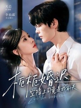 栀栀婚迟，空降上司竟是我前夫海报