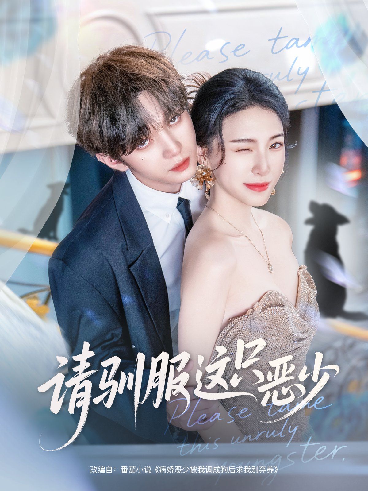 2021短剧《请驯服这只恶少》迅雷下载_中文完整版_百度云网盘720P|1080P资源