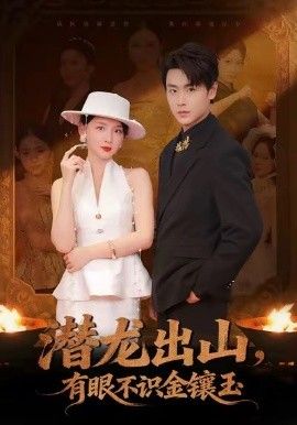 潛龍出山有眼不識金鑲玉