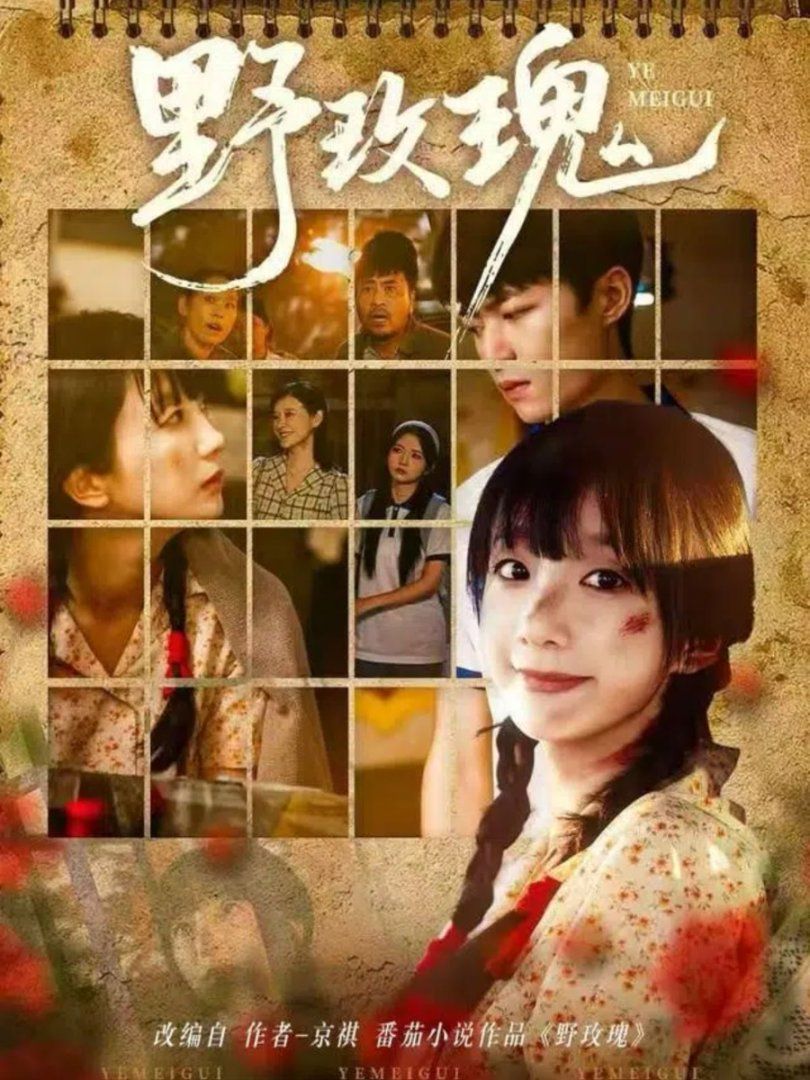 2021短剧《野玫瑰》迅雷下载_中文完整版_百度云网盘720P|1080P资源