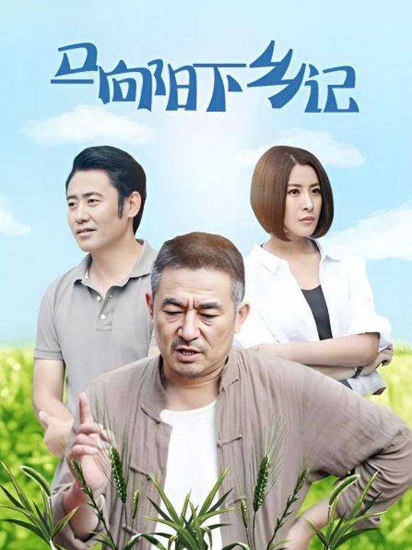 马向阳下乡记海报