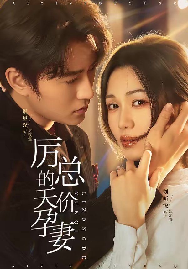 厉总的天价孕妻