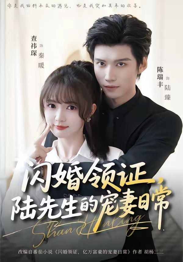 闪婚领证，陆先生的宠妻日常