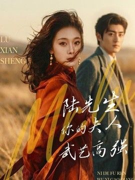 陆先生，你的夫人武艺高强海报