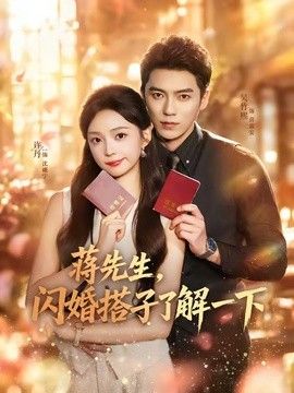 蒋先生，闪婚搭子了解一下